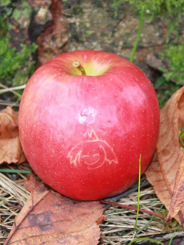 Apfel mit Gesicht Bemalung